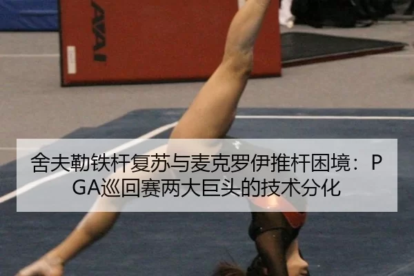 she-fu-lei-tie-gan-fu-su-yu-mai-ke-luo-yi-tui-gan-kun-jing-xun-hui-sai-liang-da-ju-tou-de-ji-shu-fen-hua-3-935.jpg