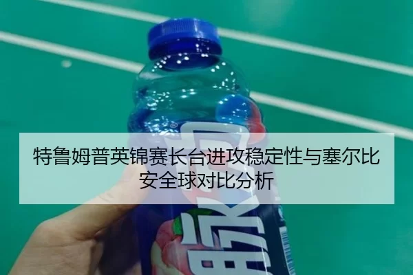 te-lu-mu-pu-ying-jin-sai-zhang-tai-jin-gong-wen-ding-xing-yu-sai-er-bi-an-quan-qiu-dui-bi-fen-xi-2-454.jpg