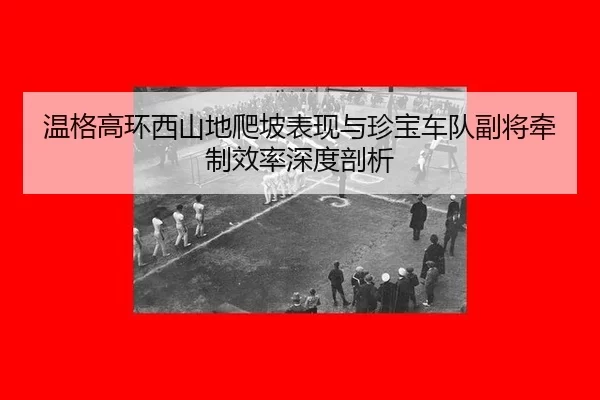 wen-ge-gao-huan-xi-shan-di-pa-po-biao-xian-yu-zhen-bao-che-dui-fu-jiang-qian-zhi-xiao-lv-shen-du-pou-xi-3-175.jpg